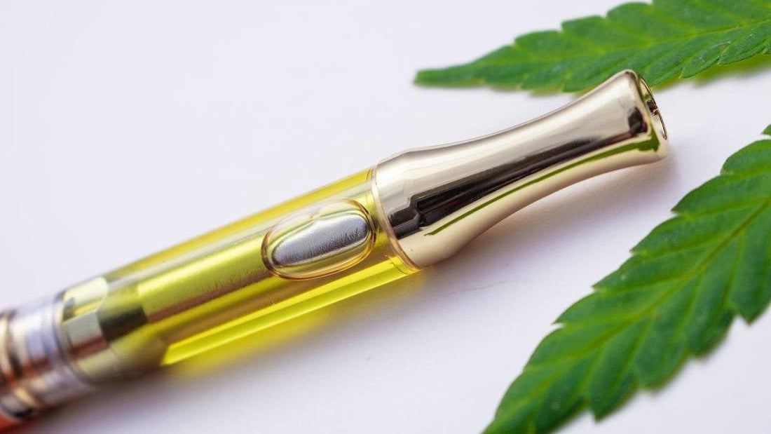 10 Things to Know about Mini CBD Device