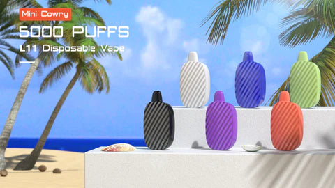 L11 5000 Puff Rechargeable Disposable Caffeine Energy Pod