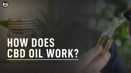 How Does CBD Oil Work?